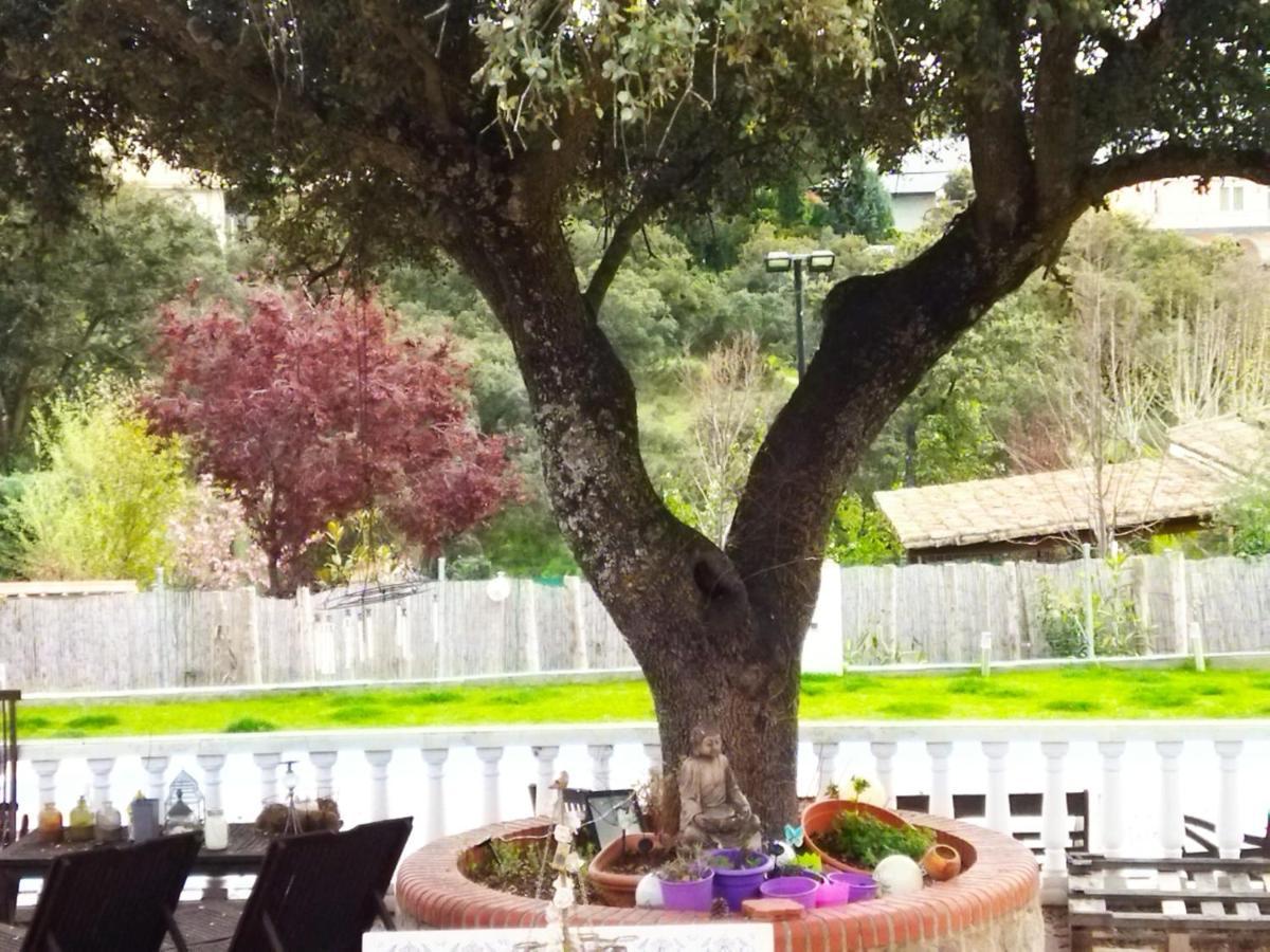 Lovely Home Nearby Madrid To Enjoy Nature Вильявисьоса-де-Одон Экстерьер фото